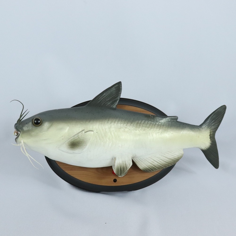 Gemmy Cool Catfish Animated Singing Talking Catfish Funny VIDEO READ